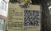 校园内学生设计的花木牌、体现足球特色和德育特色的墙面文化、体现校园江畔文化的书法长廊